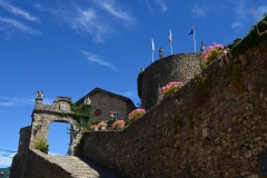 COMPIANO (12)